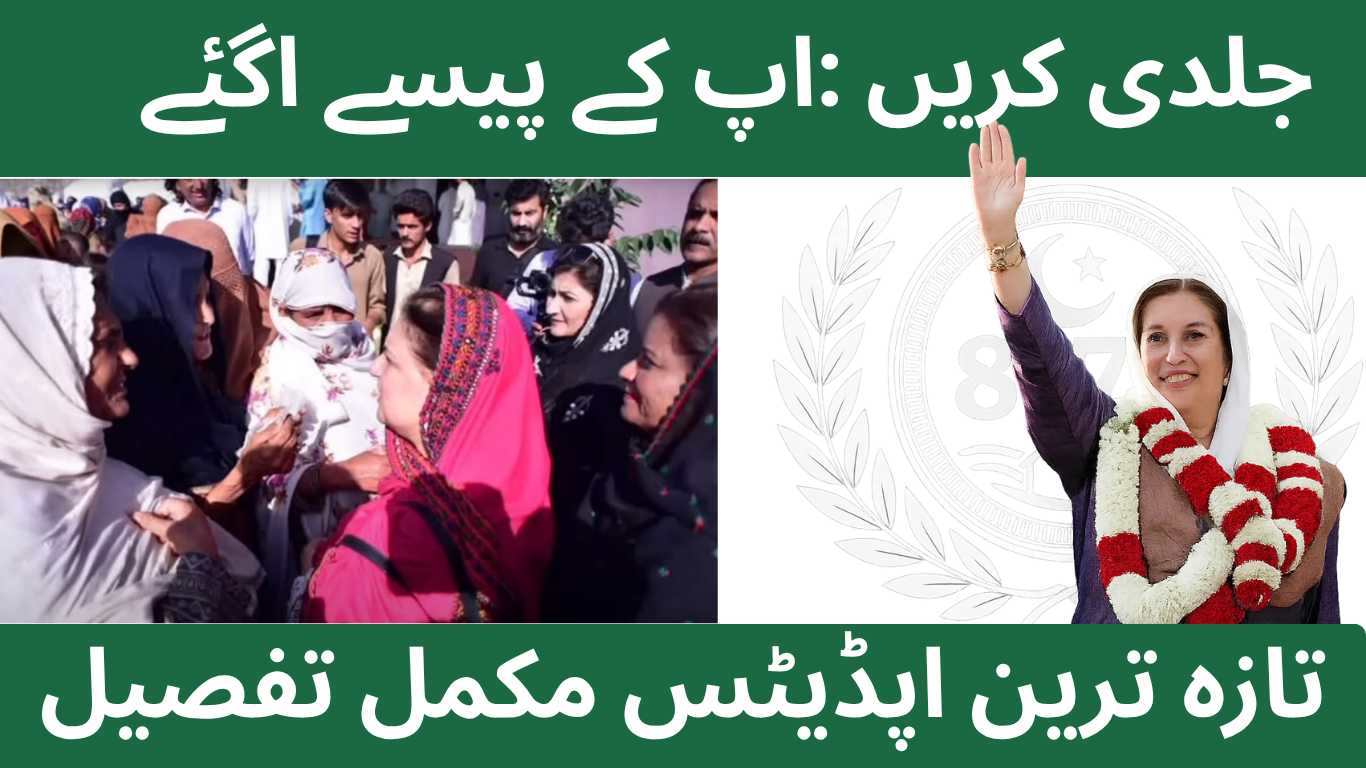 BISP 8171 Web Portal Re-Launch in October 2025 – Check Eligibility and Payments Online