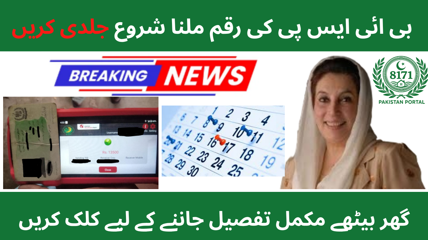BISP 8171 Payment Update November 2025 – Check Your Payment Online by CNIC