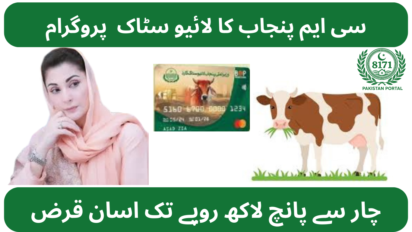 Punjab Livestock Loan Scheme 2025 – Apply Now & Get Up to PKR 540,000