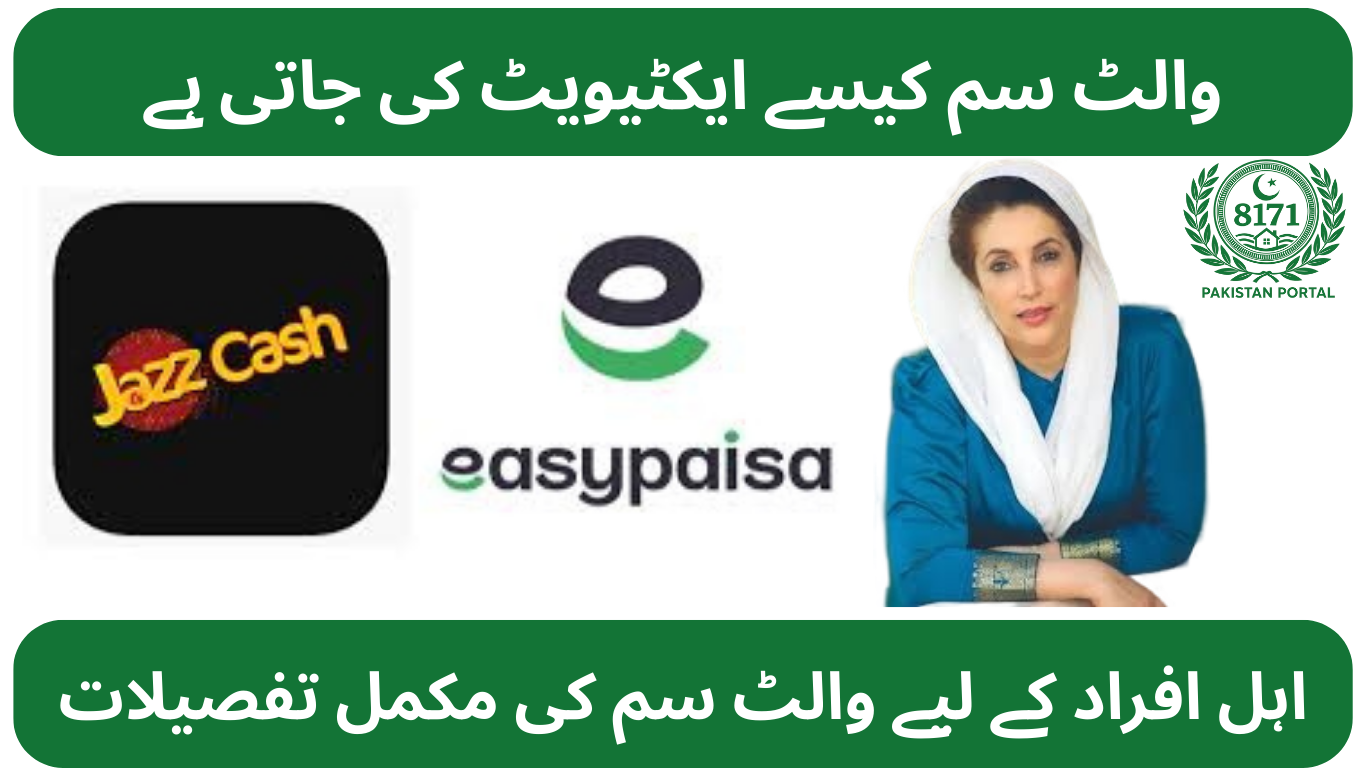 BISP Wallet SIM 8171 Registration 2025 – Everything You MUST Know