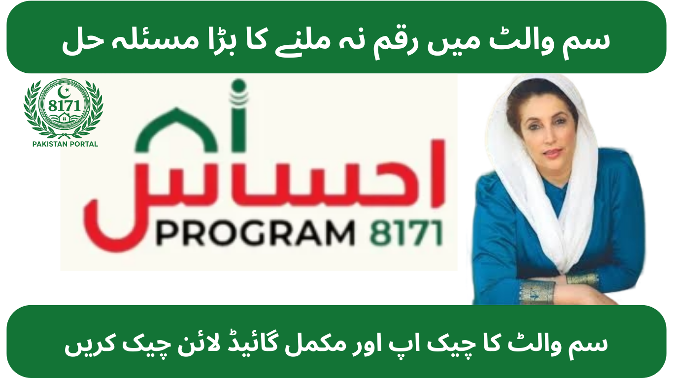 BISP 8171 والیٹ سم کا بڑا مسئلہ حل! رقم نہ ملنے کا 2025 کا مکمل گائیڈ