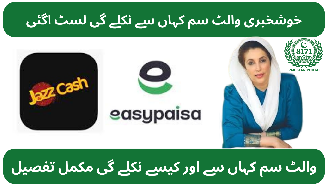 BISP 8171 Digital Wallet 2025: Complete Guide to Activate, Withdraw Your Payment