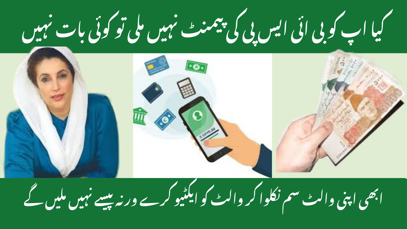 Receive Your BISP Payment Through Wallet SIM: Step-by-Step 8171 Guide